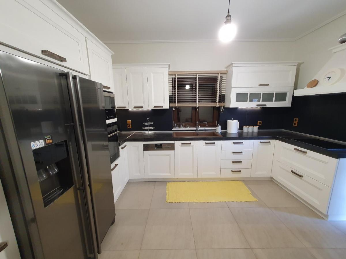 Villa Lina Salamina Ambelakia Zewnętrze zdjęcie